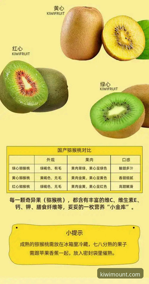 奇异果安装教程 奇异果体育平台安装全流程深度评测:从下载到使用的创新体验报告
